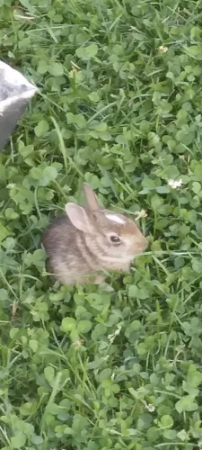 Relaxing in the yard